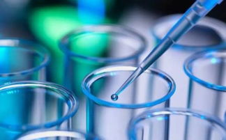 羽蛻啟動(dòng)全員專(zhuān)業(yè)化常態(tài)化培訓(xùn) 夯實(shí)生物科技護(hù)膚基礎(chǔ)