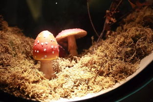 市委書(shū)記赴浙江考察 5天走訪5市,宜昌代表團(tuán)學(xué)到了什么好經(jīng)驗(yàn)