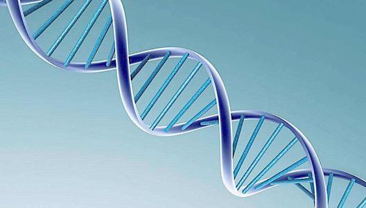 生物三字 生物工程,生物技術(shù),生物科學(xué)這些專(zhuān)業(yè)有什么區(qū)別