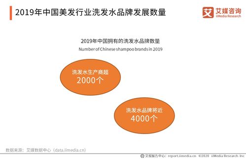 2020年洗護行業在 火 什么 品牌必看干貨
